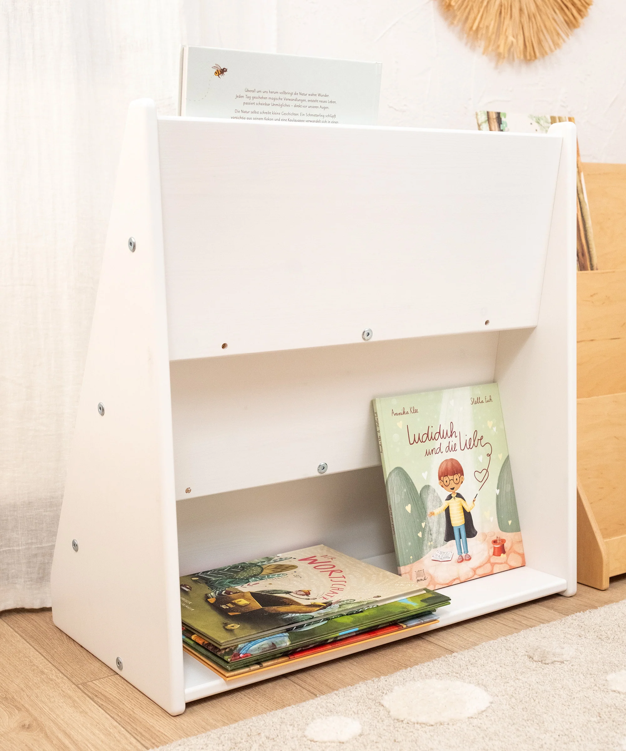 Bücherregal (B-Ware) | Kiefer - Image 3
