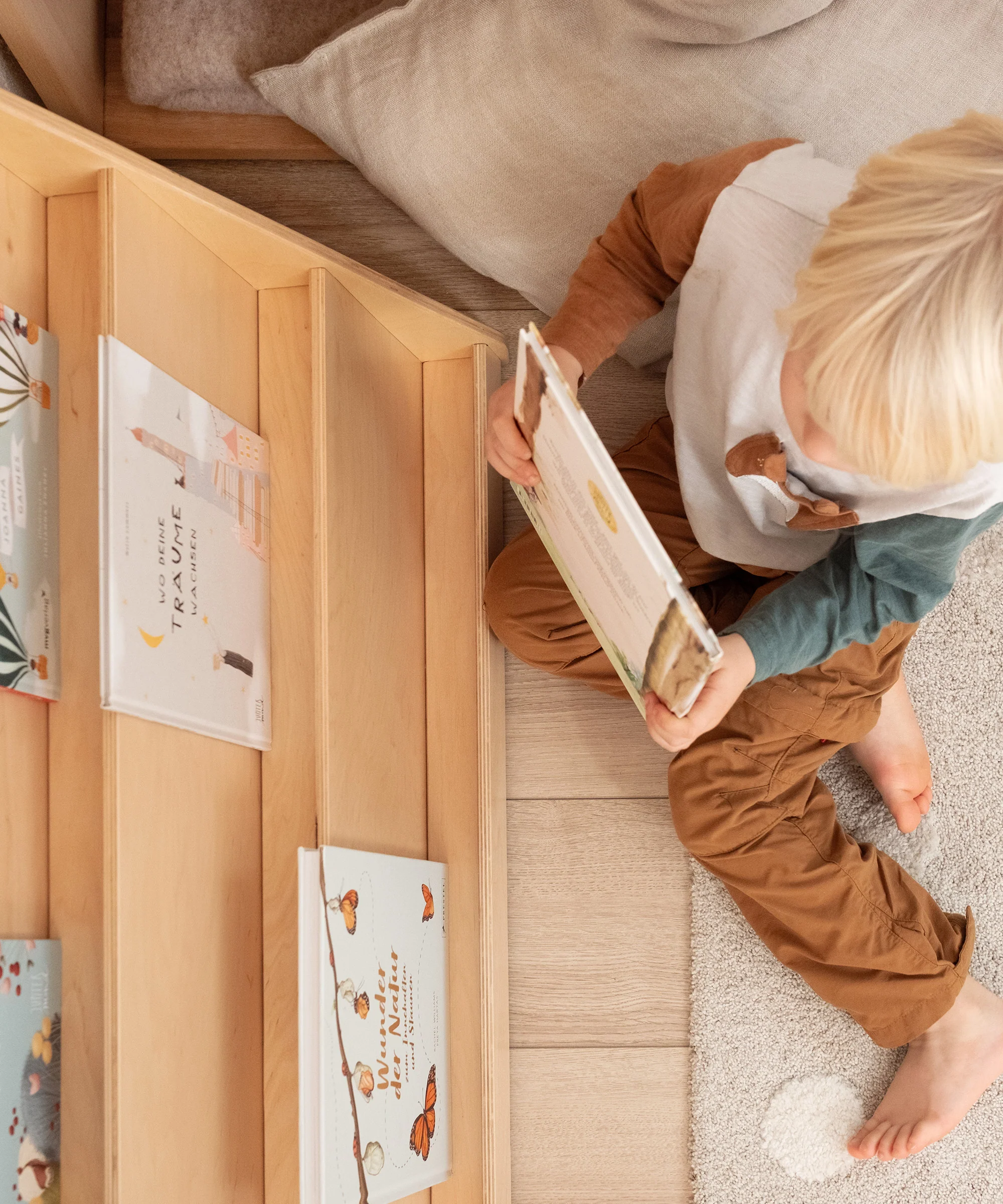 Bücherregal (B-Ware) | Birke - Image 11